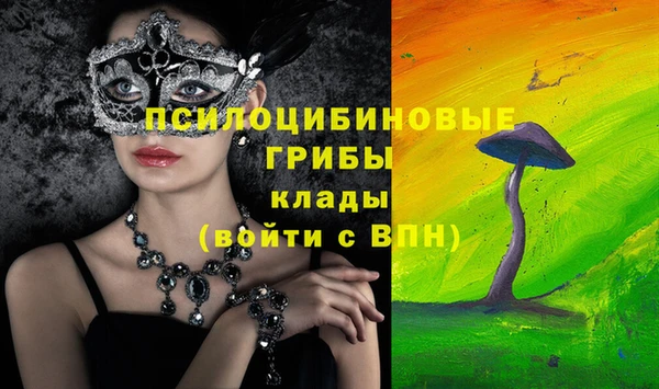 гидропоника Алексеевка
