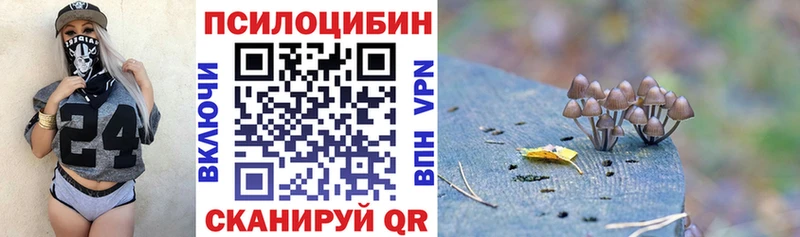хочу наркоту  Казань  Галлюциногенные грибы мицелий 
